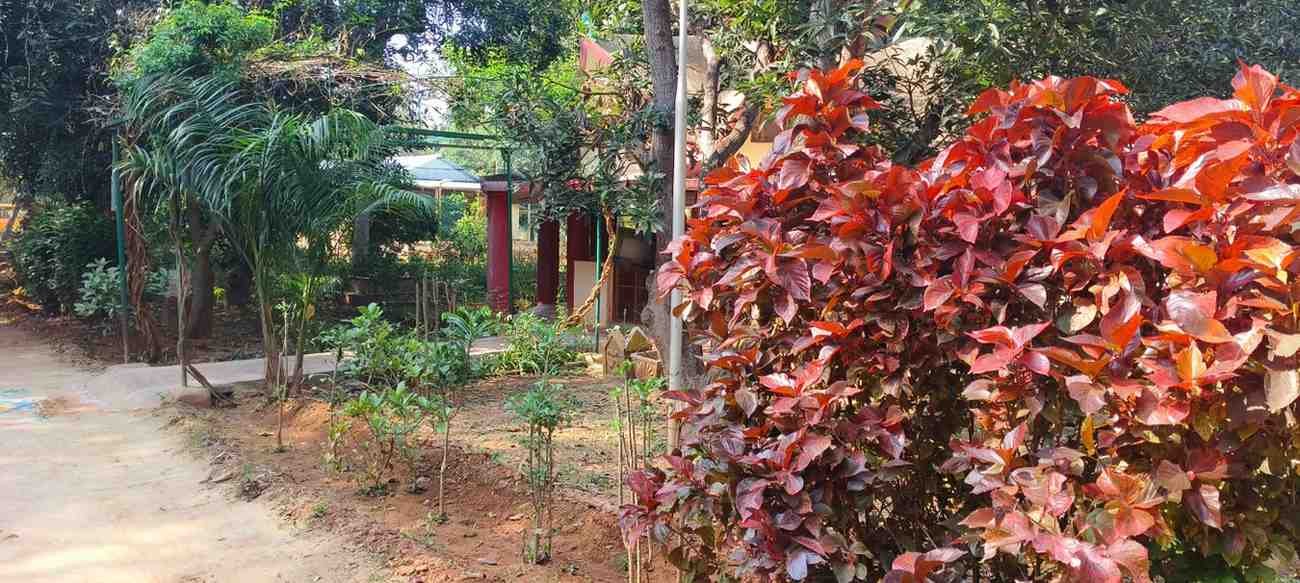 Annadanam community meal